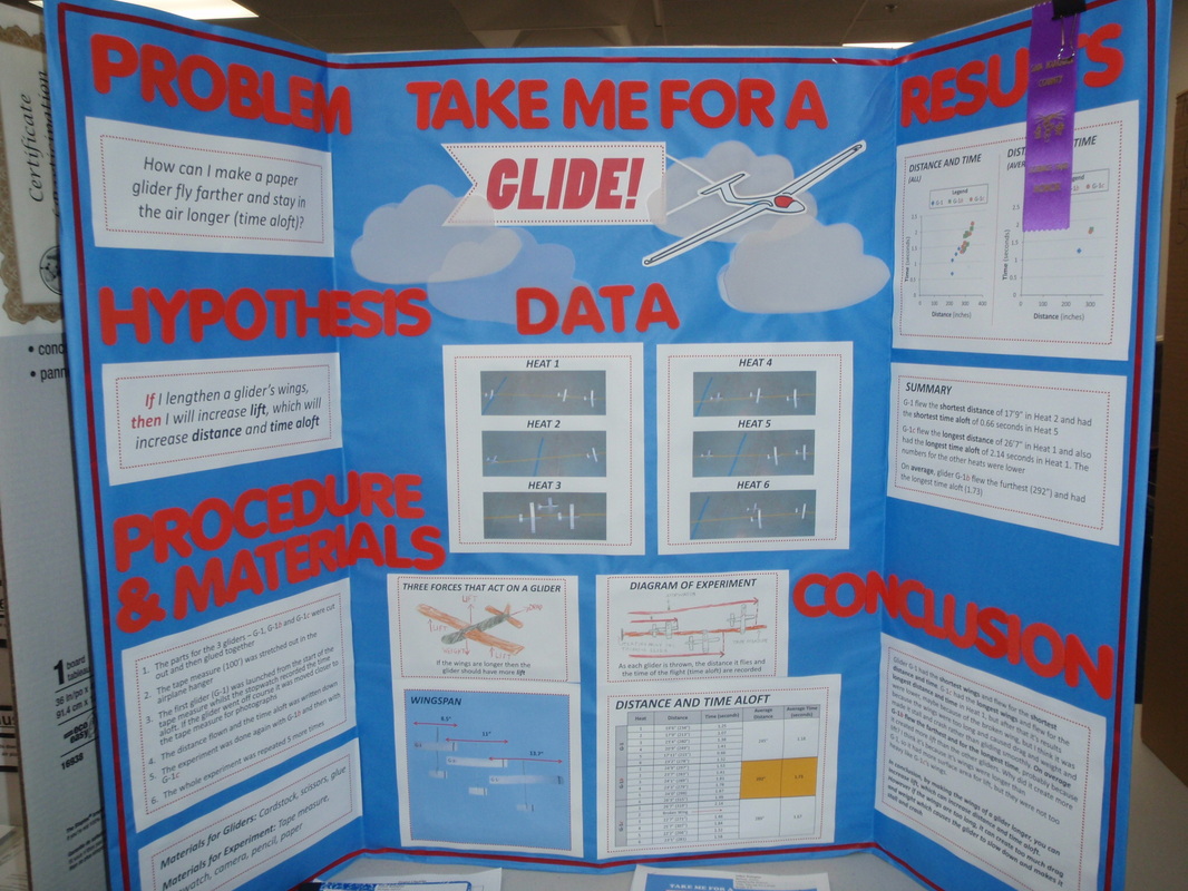 science fair poster board examples